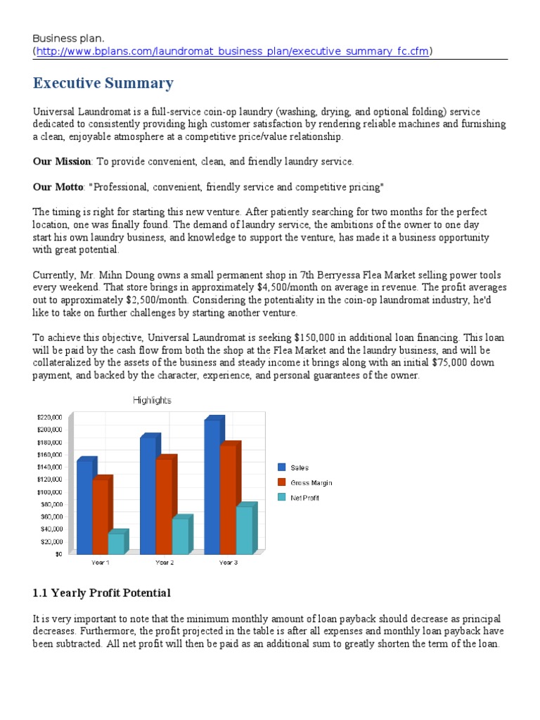 Bplan Coin Laundry PDF Gross Margin Balance Sheet