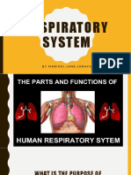 Chapter 6 Respiratory System