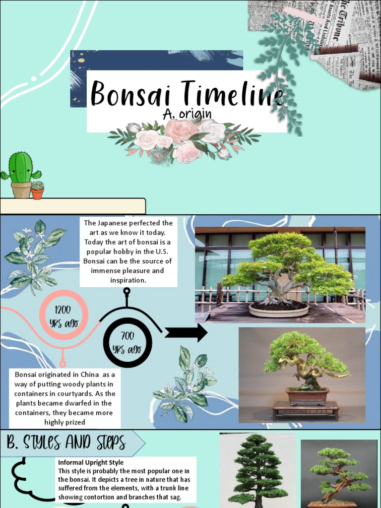 Bonsai History and Styles Overview | PDF | Bonsai | Trees