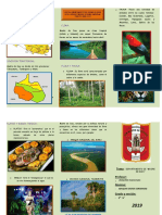 Triptico Madre de Dios.docx