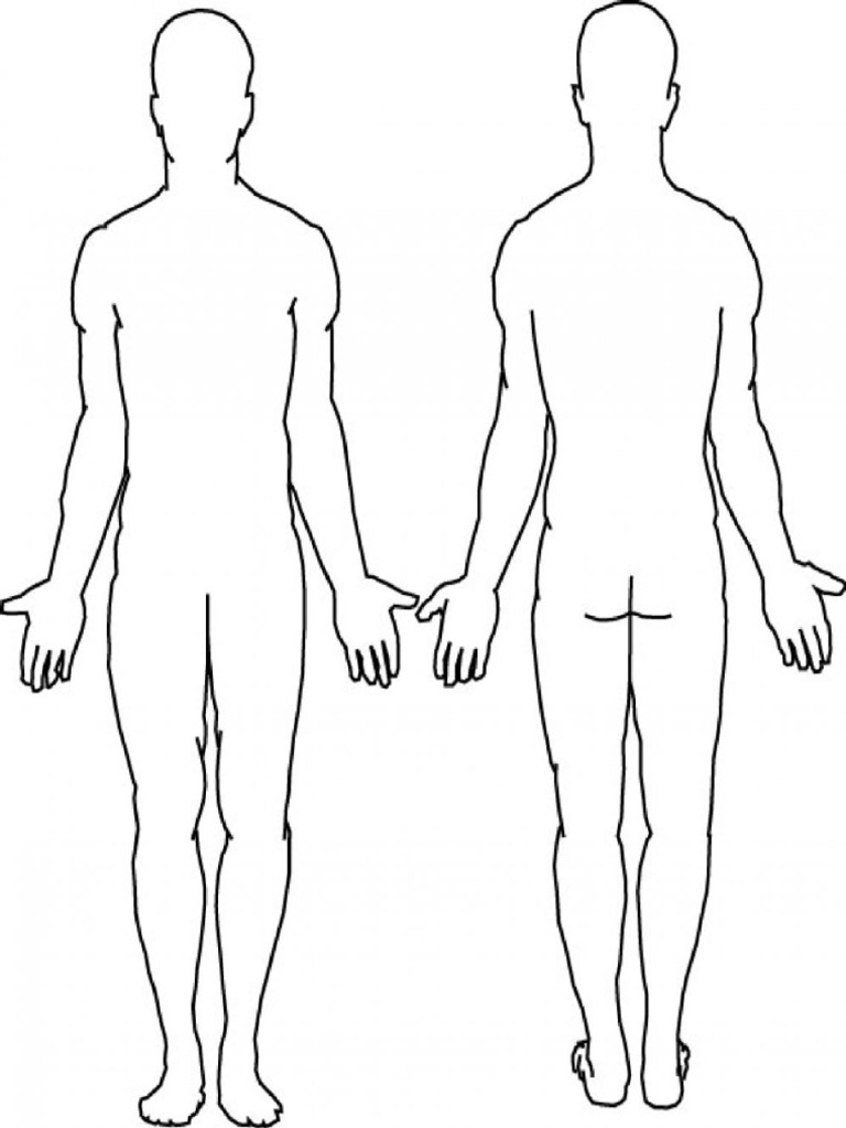 Printable Outline of Human Body (Front and Back) | PDF