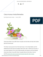 Cistus Incanus Herbal Remedies - Linden Botanicals