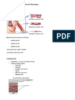 L1. Introduction To Muscle Physiology