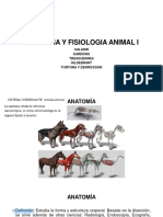 Kami Export - PLANOS Y SEC.S. TEG. AYFA I 2020 PDF