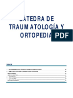 4to Año Medicina 2013-Traumatologia PDF