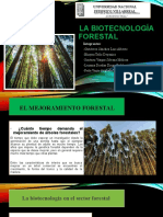 Biotecnologia Forestal