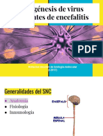 Encefalitis Virales PDF