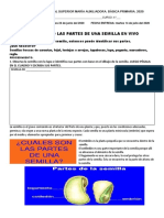 Laboratorio N°2 La Germinación de Una Semilla. 4° 2020 PDF