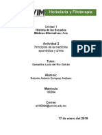 RAEnriquez - Mapa Mental Principios de La Medicina Ayurvédica y China