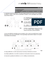 Genética Humana - Doenças Hereditárias