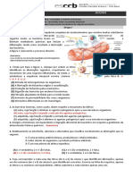 FF- Imunidade-cor.docx