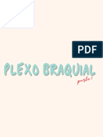Plexo Braquial Part 1