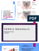 Hernia Inguinalis