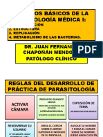 Principios básicos de la microbiología médica: clasificación, estructura y metabolismo bacteriano