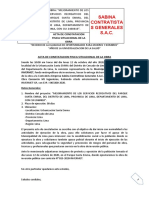 Ecovis Informativos  - Precios de Transferencia 2020.pdf