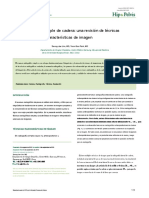 Lim2015 en Es PDF