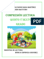 5° y 6° COMPRENSION LECTORA 2020