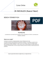 Recetario FERMENTOS INICIALES (Nuevo! New!) PDF