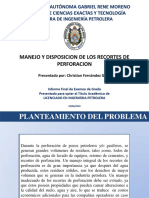 Manejo y Disposicion de Los Recortes de Perforacion Presentacion