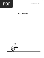 Apostila Resumo sobre Caldeiras