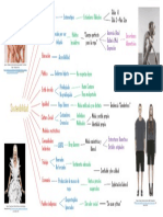 Mapa Mental Intuitivo