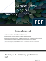 Synchondroses Joints and Radiological Anatomy of The Skull