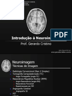 Introducao_Neuroimagem.pdf