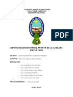 PROYECTO AMBIENTAL Completado 1