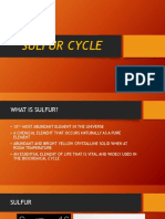4 Sulfur Cycle PDF