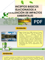CONCEPTOS BASICOS DE IMPACTO AMBIENTAL.pdf