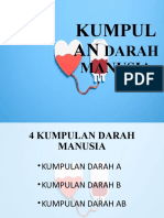 Kumpulan Darah Manusia