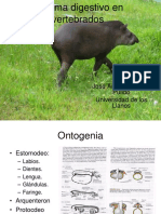4-Sist-Digestivo.pdf