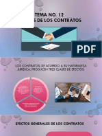 Tema N 12 PDF