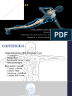 Esqueleto Axial Anatomia PDF