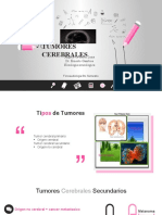 plantilla-profesional-mujer.pptx