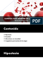 Cambios Post Mortem en La Sangre