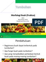 Morfologi Buah PDF