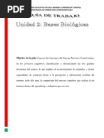 GUIA DE ACTIVIDADES UNIDAD II. Bases Biologicas PDF