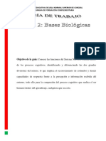 GUIA DE ACTIVIDADES UNIDAD II. Bases Biologicas PDF