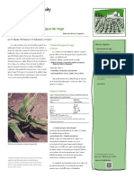 Segundo Control de Hidrología PDF