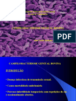 Método OPG: Contagem de Ovos em Fezes | PDF