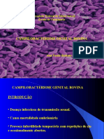 Campilobacteriose Genital Bovina: Universidade Federal de Minas Gerais Escola de Veterinária