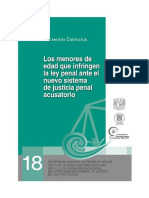 18_los Menores de Edad Que Infringen La Ley Penal, Ante El Nuevo Sistema de Justicia Penal Acusatorio