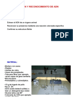 Extraccion de ADN PDF