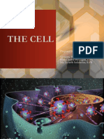 Module 2 - Cell
