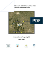 Diagnóstico de salud ambiental humana en la Provincia de Espinar-Cusco.pdf