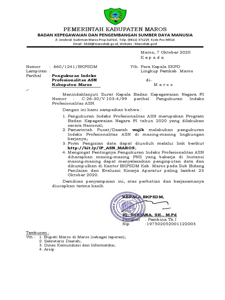 Surat Ipp Asn Opd | PDF