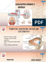 Nervio Patetico y Motor Ocular Externo PDF