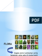 Flora Fauna