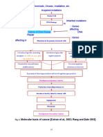 Failure of DNA Repair: Chemicals, Viruses, Irradiation, Etc. Acquired Mutations